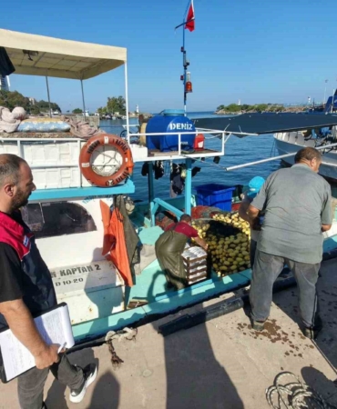 Akçakoca'da balık sezonu hareketliliği başladı