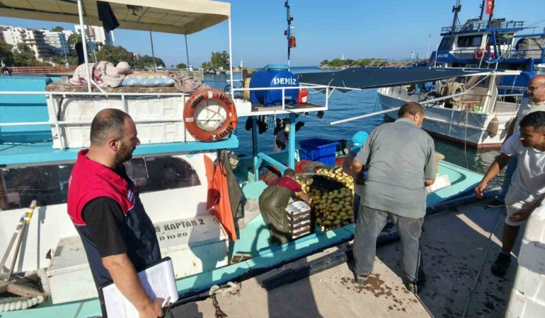 Akçakoca'da balık sezonu hareketliliği başladı