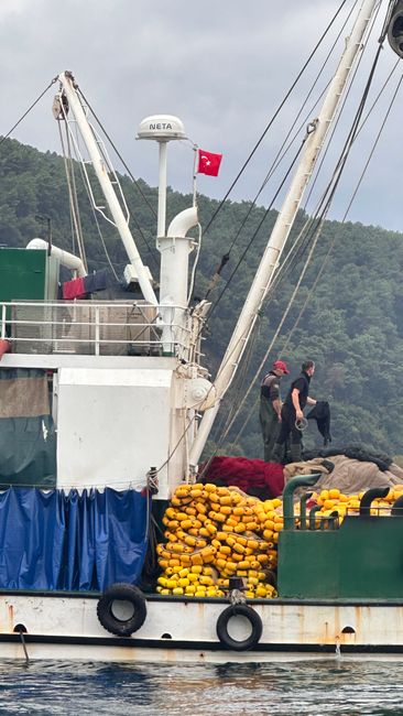 Alanya ve Demre'de 285 Kilogram Kaçak Tütün Ele Geçirildi
