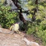 Alanya'da çıkan orman yangınına havadan ve karadan müdahale