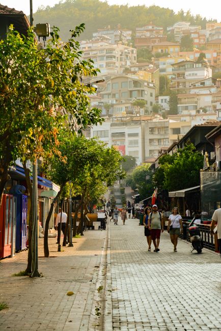Alanya'da eşini ve kayınvalidesini bıçaklayan kişi adliyeye sevk edildi