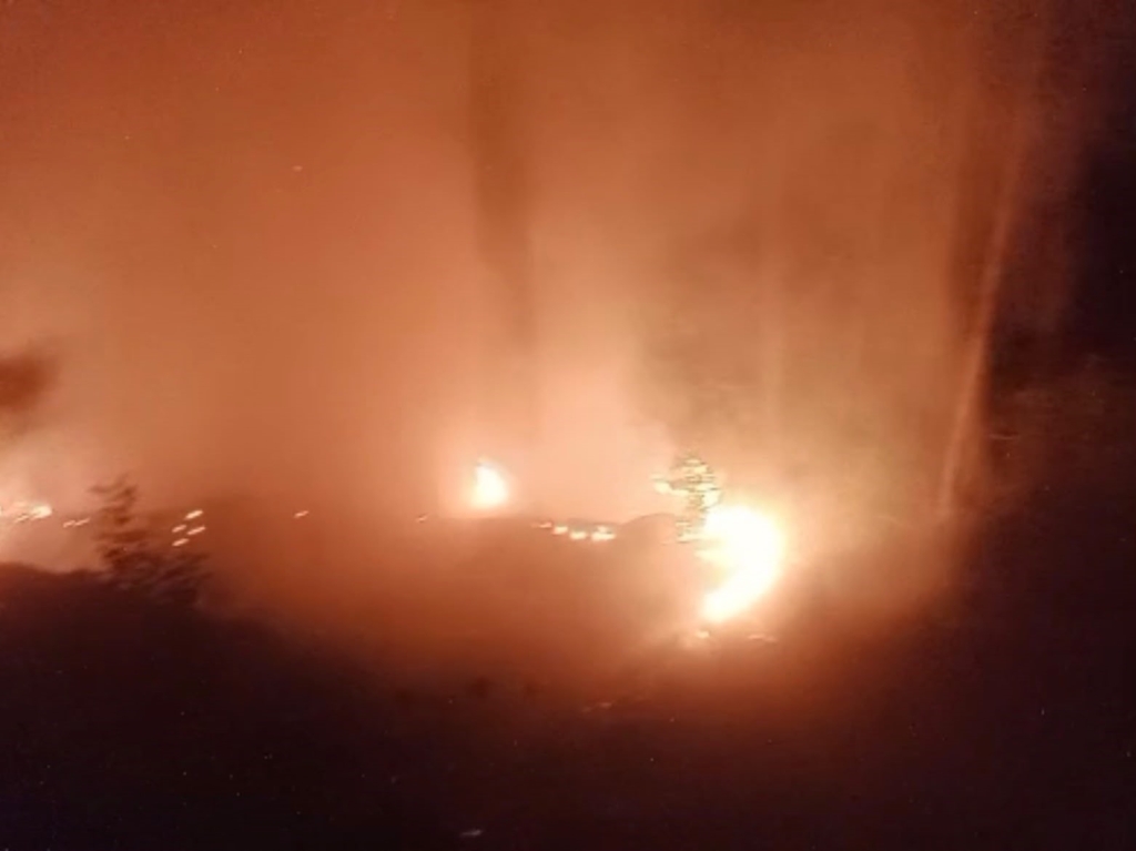 Alanya'da orman yangını kontrol altına alındı
