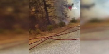 Alanya'da orman yangınına havadan ve karadan müdahale
