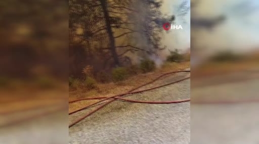 Alanya'da orman yangınına havadan ve karadan müdahale