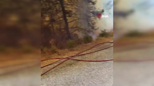 Alanya'da orman yangınına havadan ve karadan müdahale