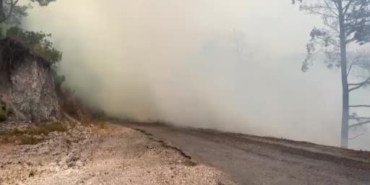 Alanya'da orman yangınına havadan ve karadan müdahale