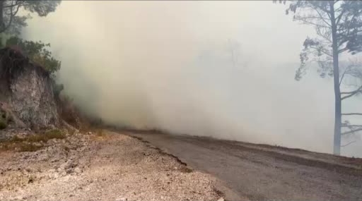 Alanya'da orman yangınına havadan ve karadan müdahale