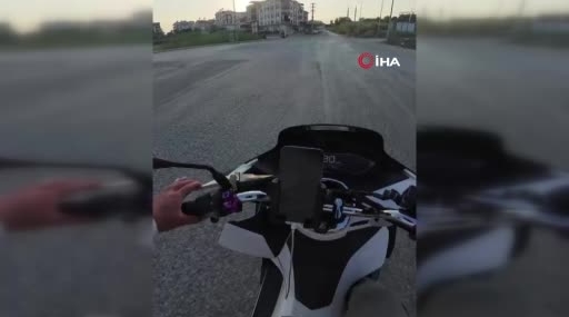 Alman vatandaşı, köpeği taşla öldürdüğü iddiasıyla deport edildi