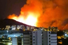 Ankara Mamak'ta Ormanlık Alanda Yangın Çıktı