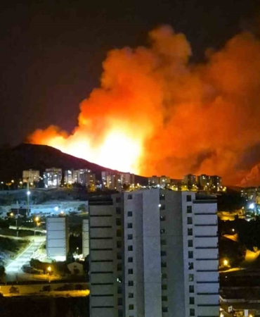 Ankara Mamak'ta Ormanlık Alanda Yangın Çıktı