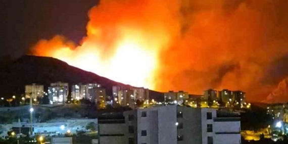 Ankara Mamak'ta Ormanlık Alanda Yangın Çıktı