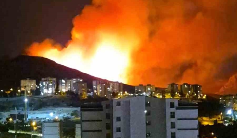 Ankara Mamak'ta Ormanlık Alanda Yangın Çıktı