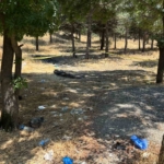 Ankara'da kadın cinayeti alacak-verecek meselesi yüzünden işlendi iddiası