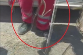 Antakya'da park halindeki araçta yılan bulundu