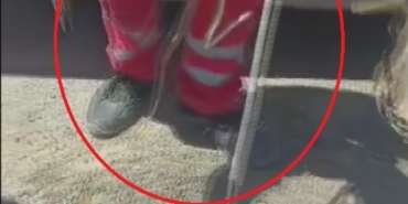 Antakya'da park halindeki araçta yılan bulundu