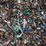 Antalya'da deniz suyu kirliliğinin nedeni mikroplastikler