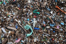 Antalya'da deniz suyu kirliliğinin nedeni mikroplastikler
