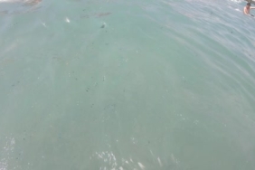 Antalya'da deniz suyunun bulanıklığı mikroplastik kirliliğinden kaynaklanıyor