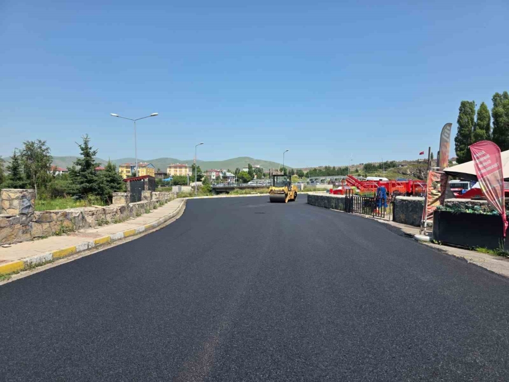 Ardahan'da Kongre Caddesi'nde Asfaltlama Çalışmaları Başladı