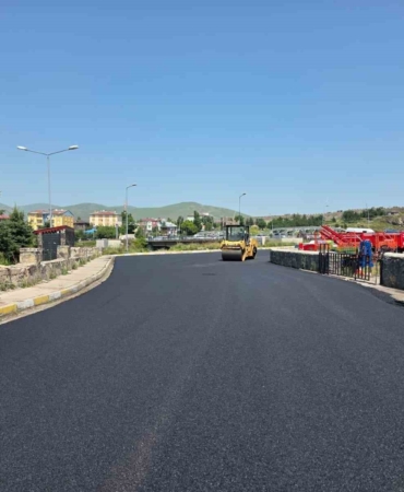 Ardahan'da Kongre Caddesi'nde Asfaltlama Çalışmaları Başladı