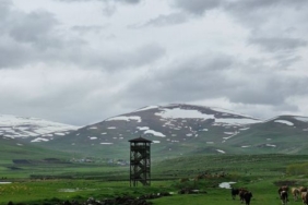 Ardahan'da kuduz vakası nedeniyle karantina uygulaması başlatıldı