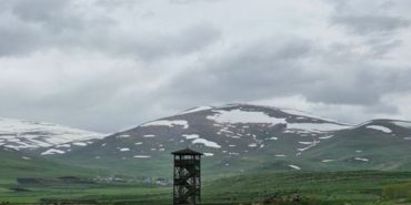 Ardahan'da kuduz vakası nedeniyle karantina uygulaması başlatıldı