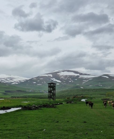Ardahan'da kuduz vakası nedeniyle karantina uygulaması başlatıldı