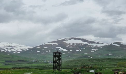 Ardahan'da kuduz vakası nedeniyle karantina uygulaması başlatıldı