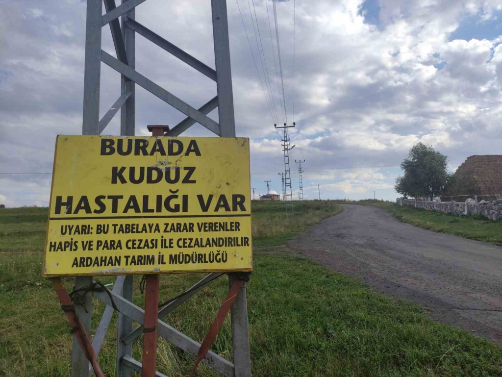 Ardahan'da kuduz vakası nedeniyle mahalle karantinaya alındı