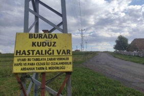Ardahan'da kuduz vakası nedeniyle mahalle karantinaya alındı