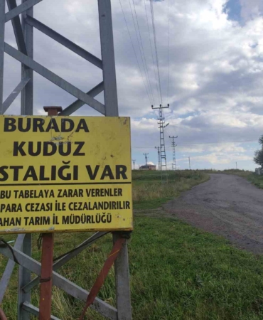 Ardahan'da kuduz vakası nedeniyle mahalle karantinaya alındı