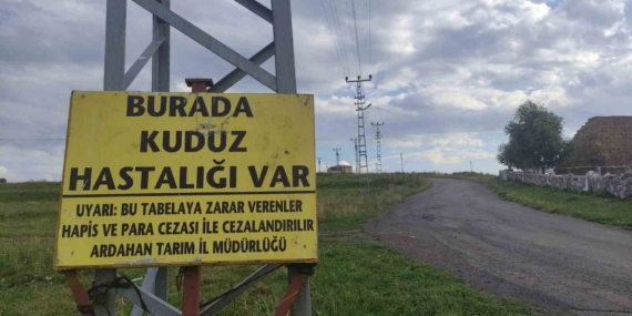 Ardahan'da kuduz vakası nedeniyle mahalle karantinaya alındı