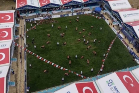Arnavutköy'de 11. Geleneksel Yağlı Güreşler Dursunköy'de yapıldı