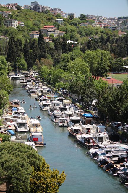 Arpaçay Kaymakamı Güvenç, Göksu Mandıra'yı Ziyaret Etti