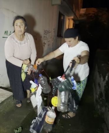 Artvin'de Yaban Domuzu Sorunu: Köylüler Gece Nöbeti Tutuyor