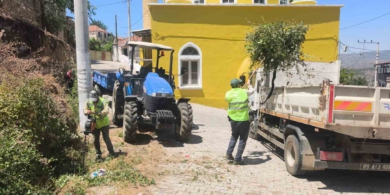 Aydın Büyükşehir Belediyesi Karpuzlu'da Yeşil Alanları Düzenliyor