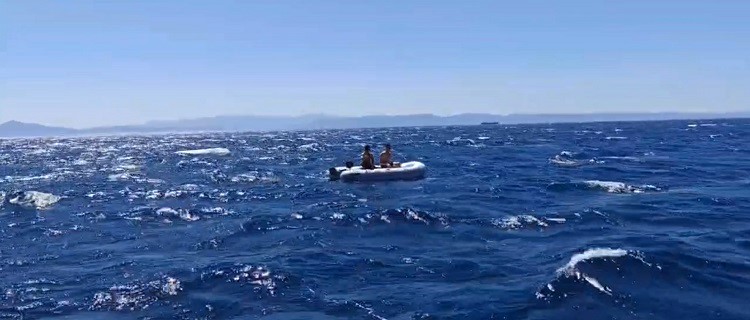 Ayvalık açıklarında sürüklenen iki kişi Sahil Güvenlik tarafından kurtarıldı
