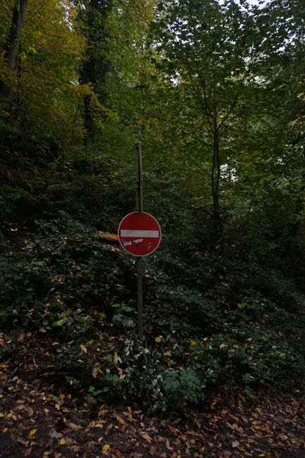 Ayvalık'ta ormanlara giriş yasak, denetim eksikliği endişe yaratıyor