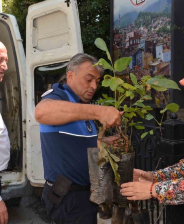Babadağ Belediyesi çiftçilere ceviz fidanı dağıttı