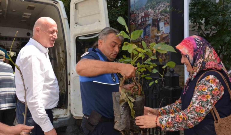 Babadağ Belediyesi çiftçilere ceviz fidanı dağıttı