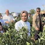 Bakan Göktaş, Düzce'de Yaban Mersini Bahçesini Ziyaret Etti