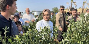 Bakan Göktaş, Düzce'de Yaban Mersini Bahçesini Ziyaret Etti