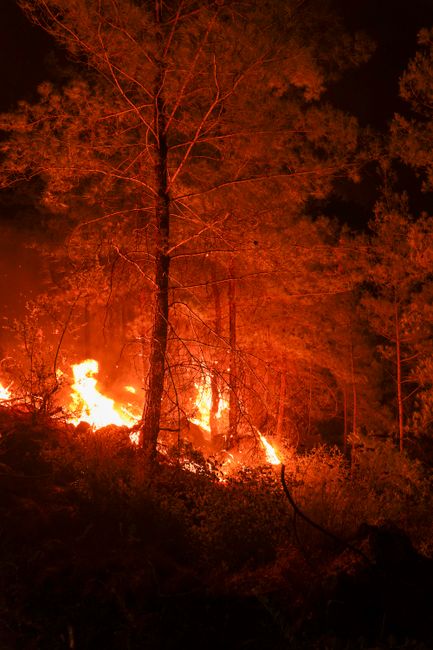 Bakan Yumaklı, 29 Temmuz'dan itibaren yangınların durumu hakkında bilgi verdi