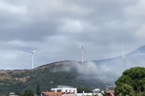 Balıkesir Narlı Mahallesi'nde orman yangınına müdahale devam ediyor