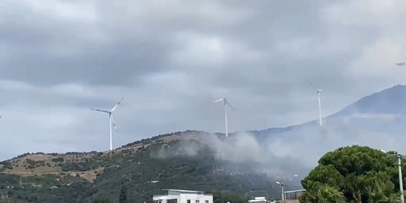 Balıkesir Narlı Mahallesi'nde orman yangınına müdahale devam ediyor