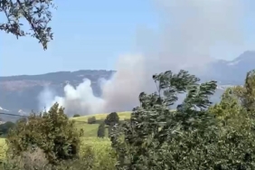 Balıkesir Susurluk'ta yangına havadan müdahale
