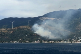 Balıkesir'de orman yangınına neden olan şüpheli yakalandı