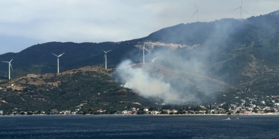 Balıkesir'de orman yangınına neden olan şüpheli yakalandı