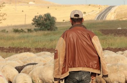 Bayburt'ta 246 hafız için icazet merasimi düzenlenecek