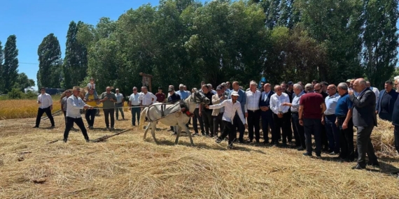 Bayburt'ta Harman Şenliği'nde Geleneksel Hasat Yeniden Canlandırıldı